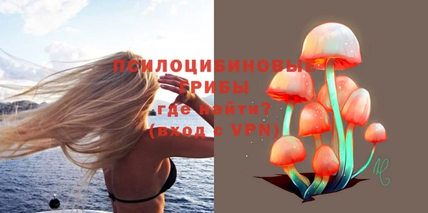 PSILOCYBIN Алексеевка