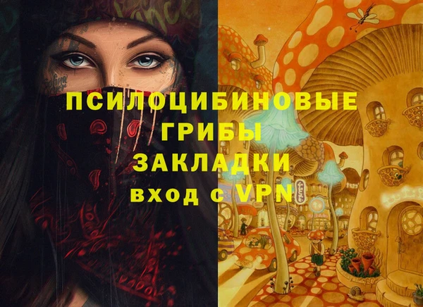 PSILOCYBIN Алексеевка