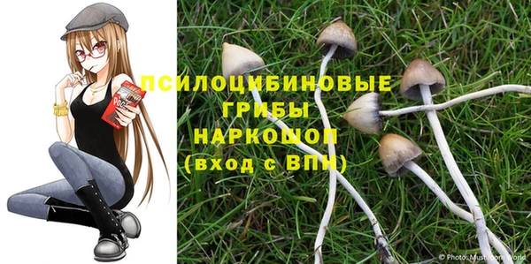 крисы Алексин