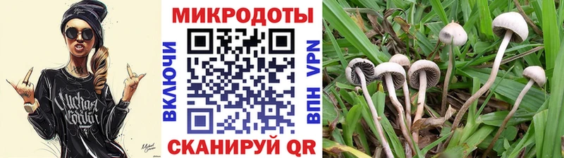 Псилоцибиновые грибы ЛСД  наркошоп  Заволжье 