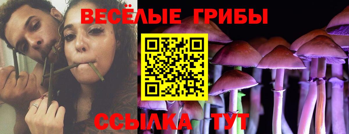 Галлюциногенные грибы ЛСД  купить  сайты  Вход с VPN  Заволжье  Псилоцибиновые грибы мицелий 